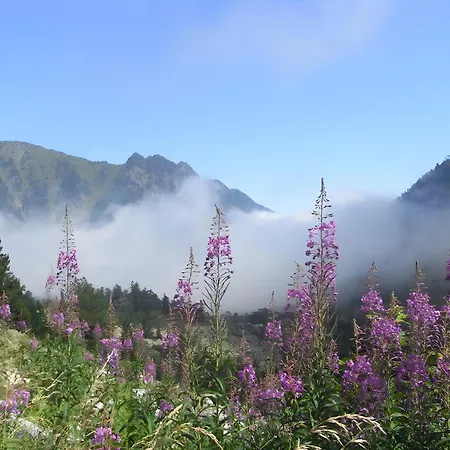 Gentiane - Grust, Vue Panoramique