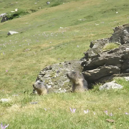 Gentiane - Grust, Vue Panoramique Grust